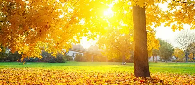 Horoskop för Onsdag 12 November 2025