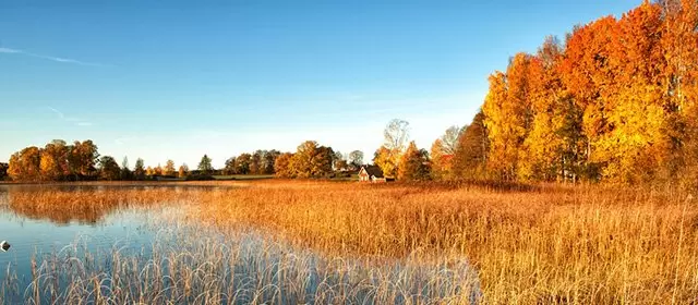 Horoskop för Torsdag 13 November 2025