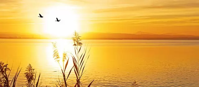 Horoskop för Fredag 14 November 2025