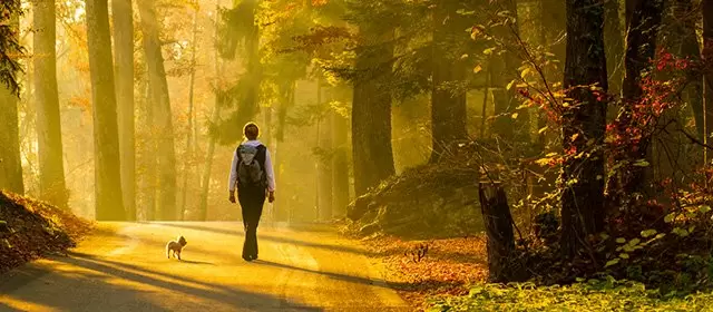 Horoskop för Måndag 17 November 2025