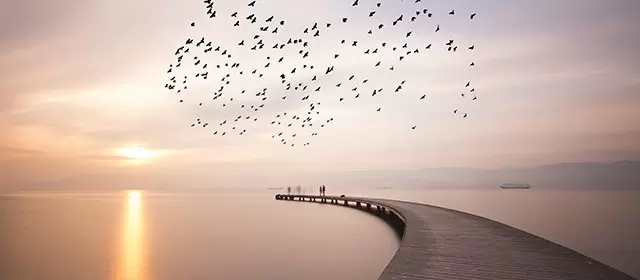 Horoskop för Torsdag 20 November 2025