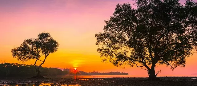 Horoskop för Lördag 22 November 2025