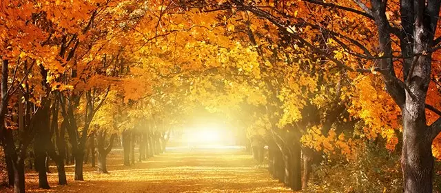 Horoskop för Måndag 24 November 2025