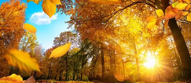 Horoskop för Onsdag 26 November 2025