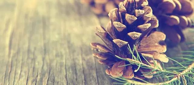 Horoskop för Söndag 7 December 2025