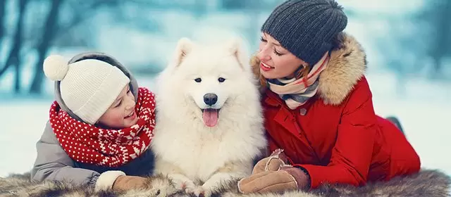 Horoskop för Söndag 14 December 2025