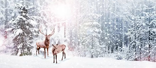 Horoskop för Onsdag 17 December 2025