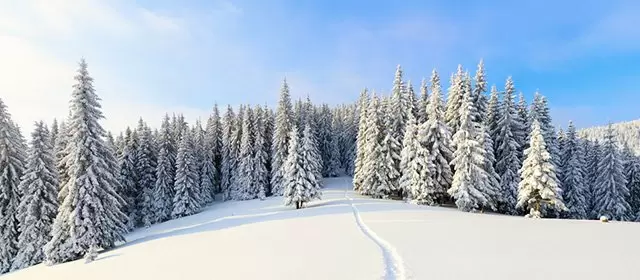 Horoskop för Tisdag 30 December 2025